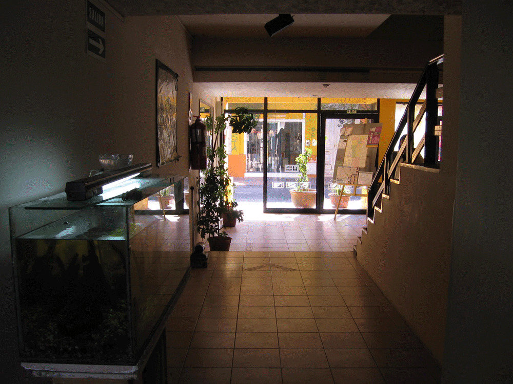 Inca Hotel *